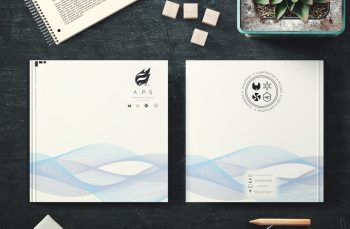 Plaquette entreprise APS